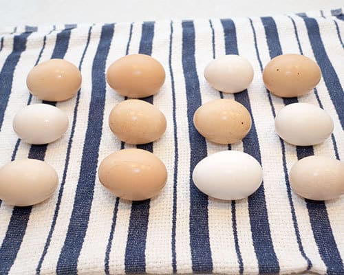 Eggs Drying on a towel