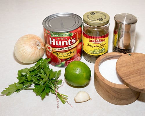 Salsa-Ingredients