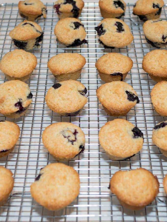 Cooling the Blueberry Mini Muffins