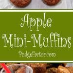Loaded with apples, toasted pecans, pineapple and coconut, these moist Apple Mini-Muffins are delicious for breakfast or an anytime snack!
