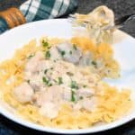 Slow Cooker Chicken Stroganoff - succulent chicken pieces are cooked in an amazing sauce with just a hint of wine and served over egg noodles