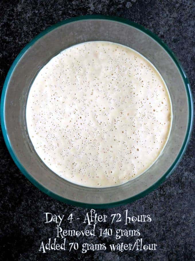 Day 4 of making the Sourdough Starter