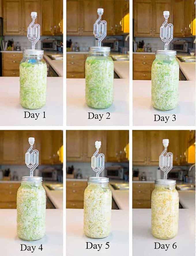 First six days of fermentation.