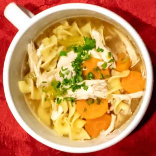 Instant Pot Chicken Noodle Soup –