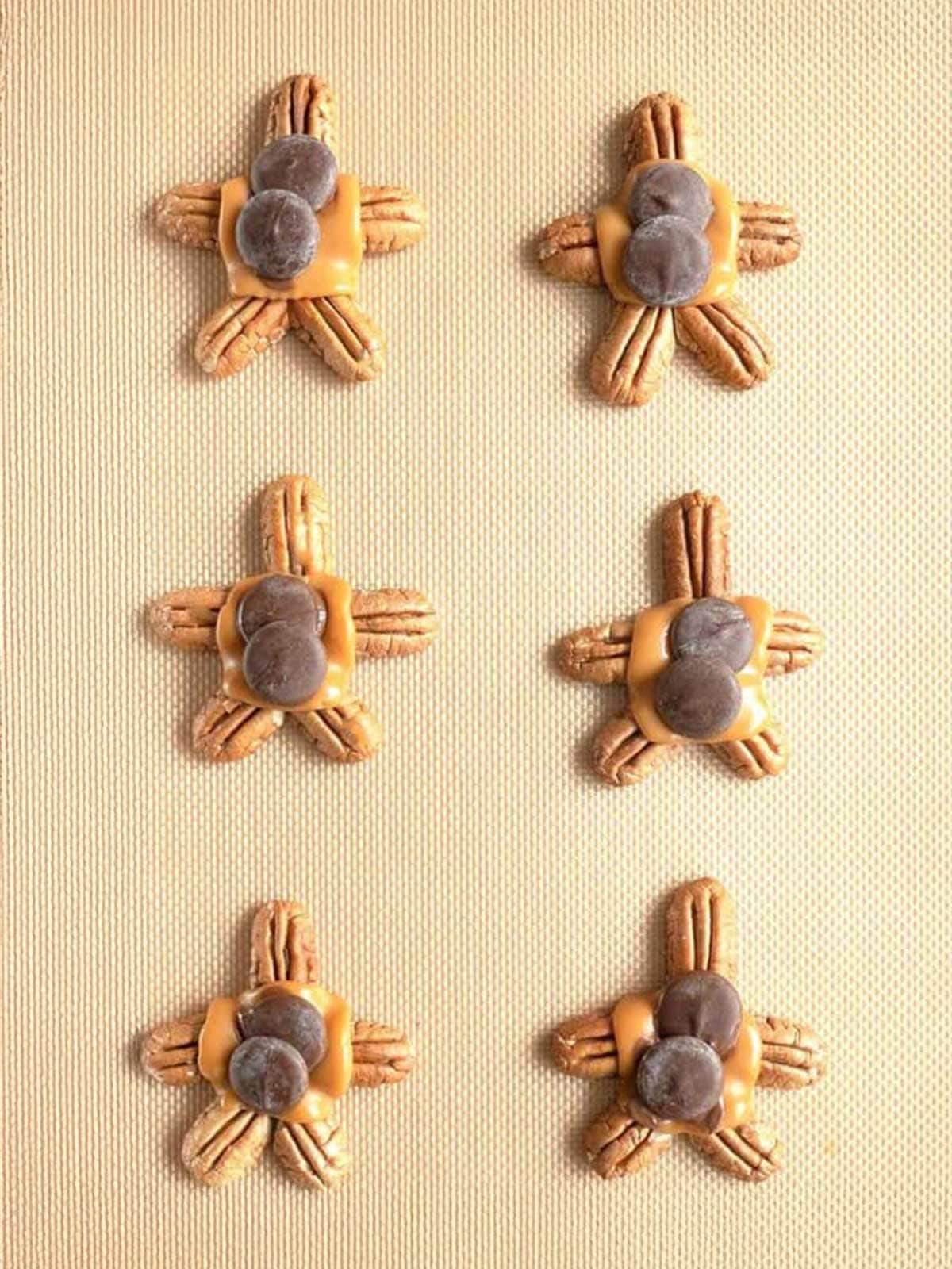 Placing chocolate wafers on the turtles.