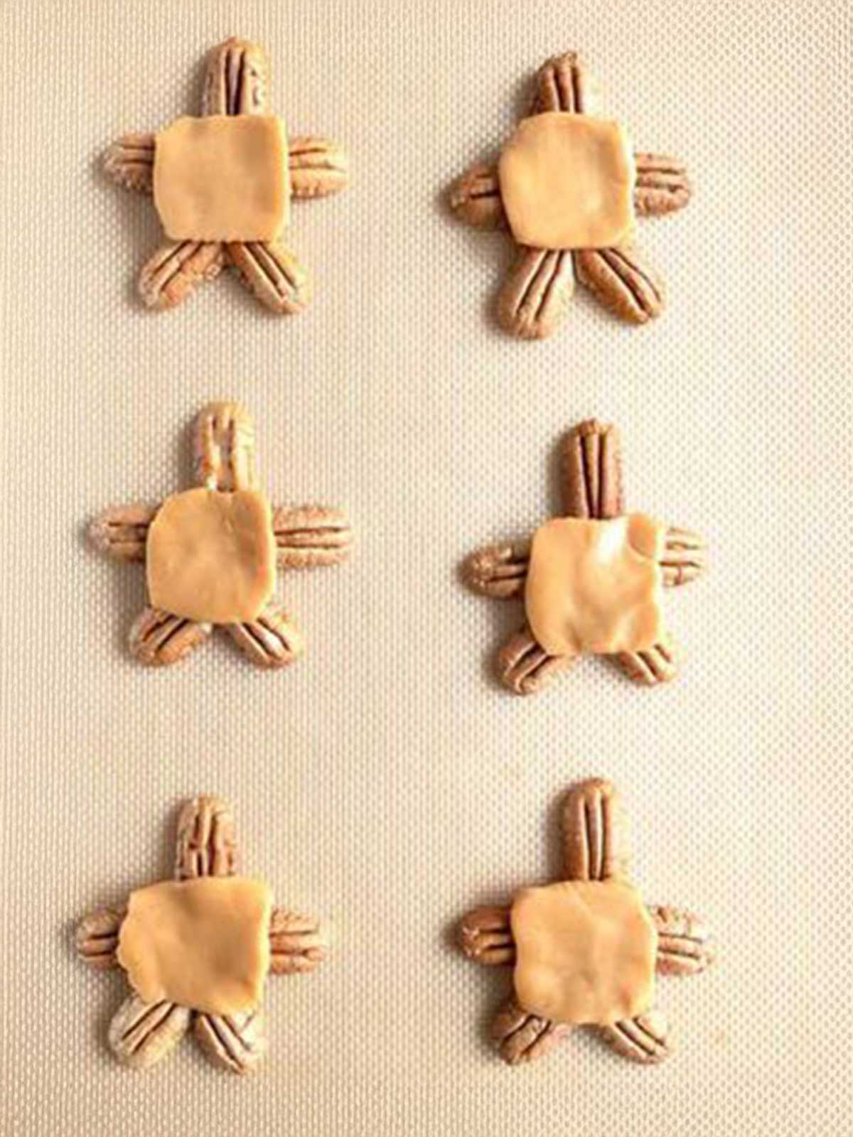 Turtle bodies with pecans and caramels.