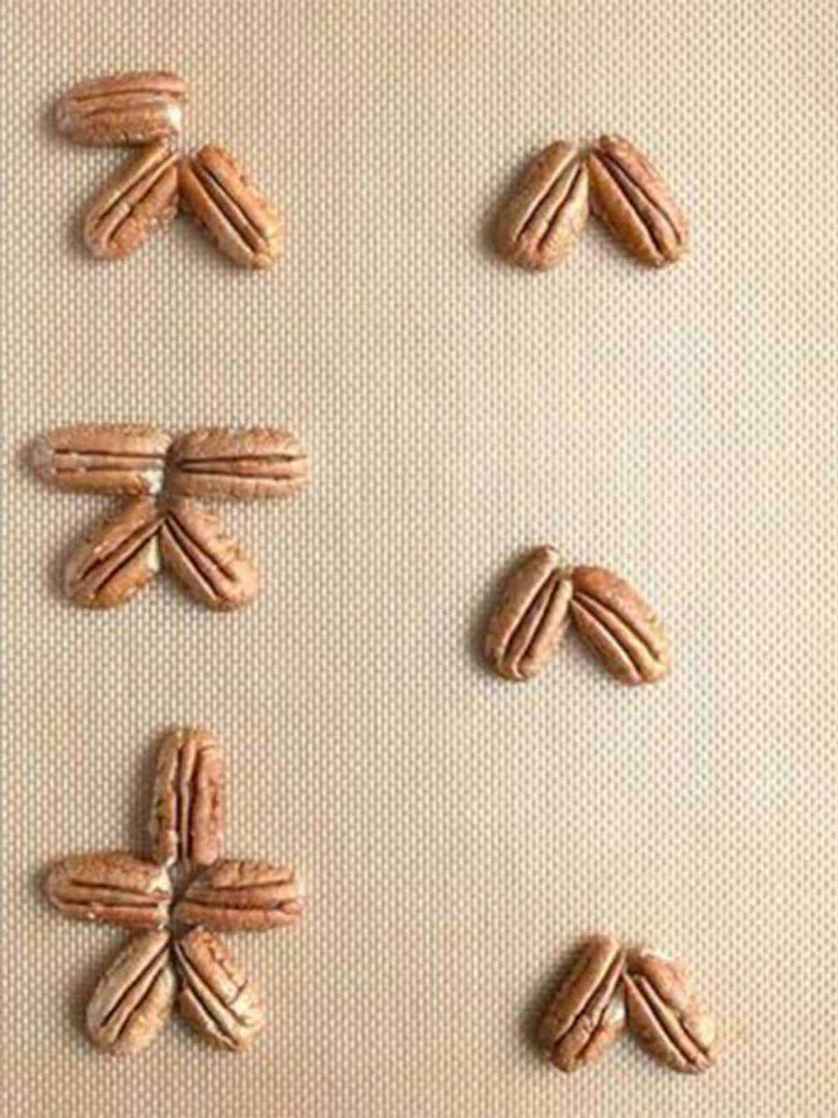 Piecing the pecans together for the turtle body.