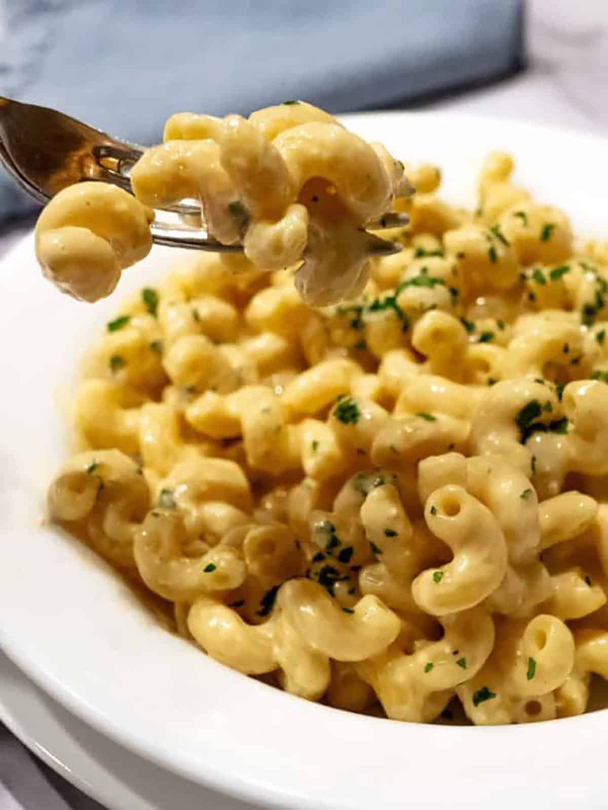 Susan's stovetop Mac & Cheese