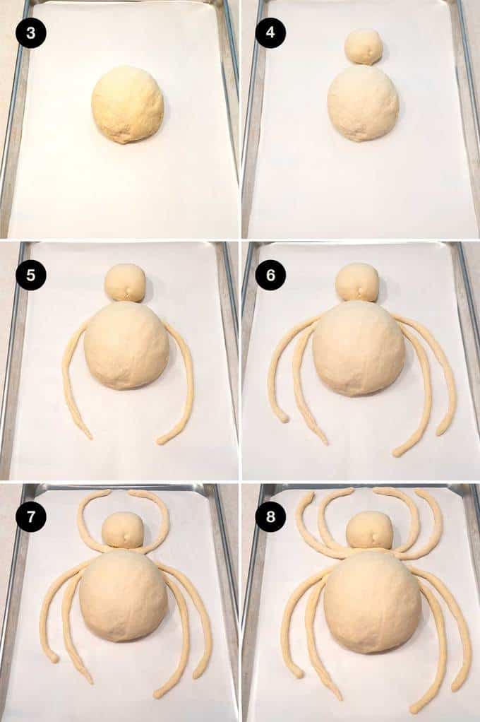 Making the spider body and legs