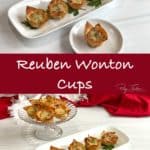 Reuben Wonton Cups