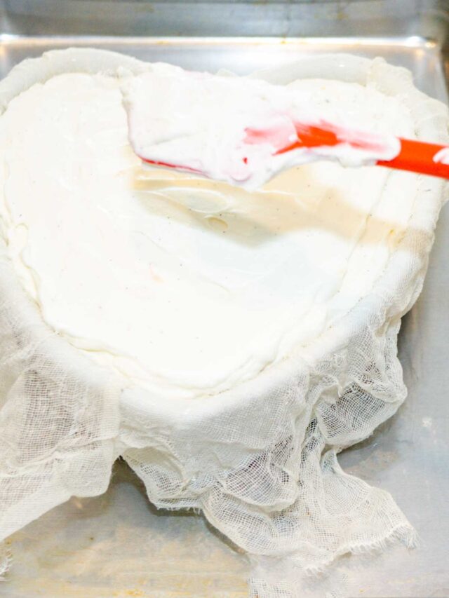 Coeur à la Crème with Grand Marnier Raspberry Sauce Pudge Factor