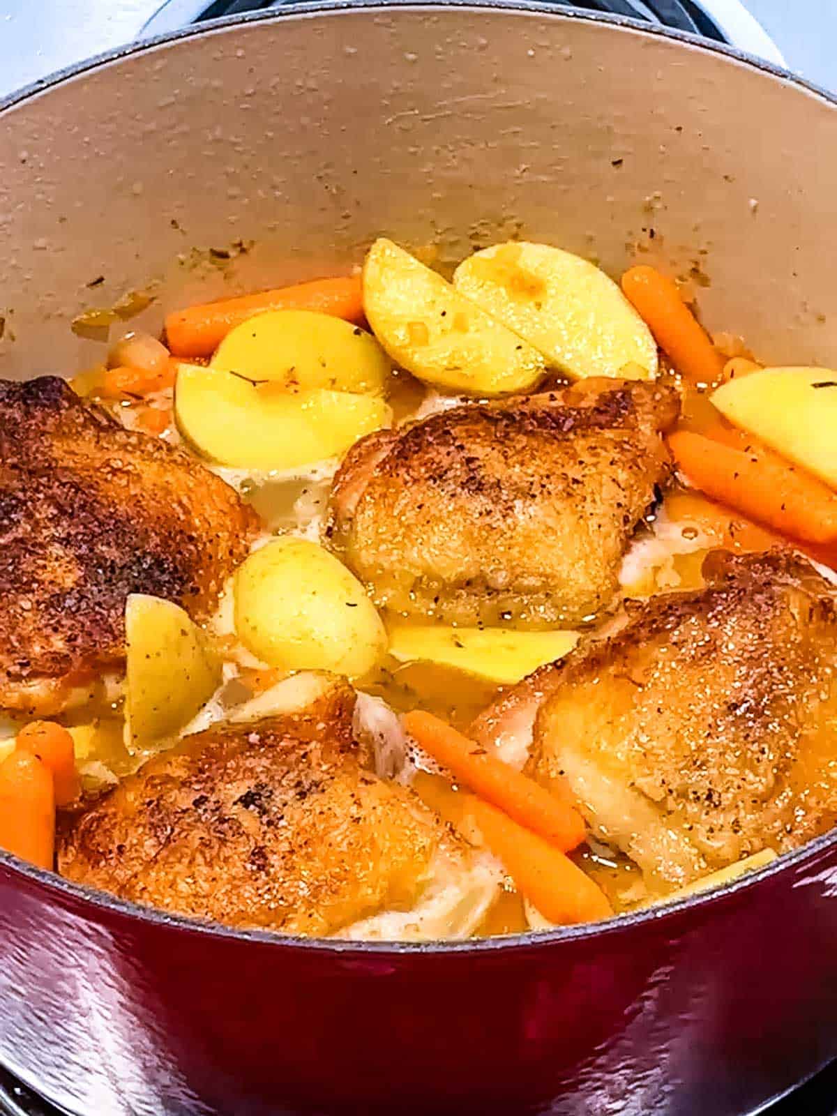 Browned chicken on top of vegetables in sauce in Dutch oven.