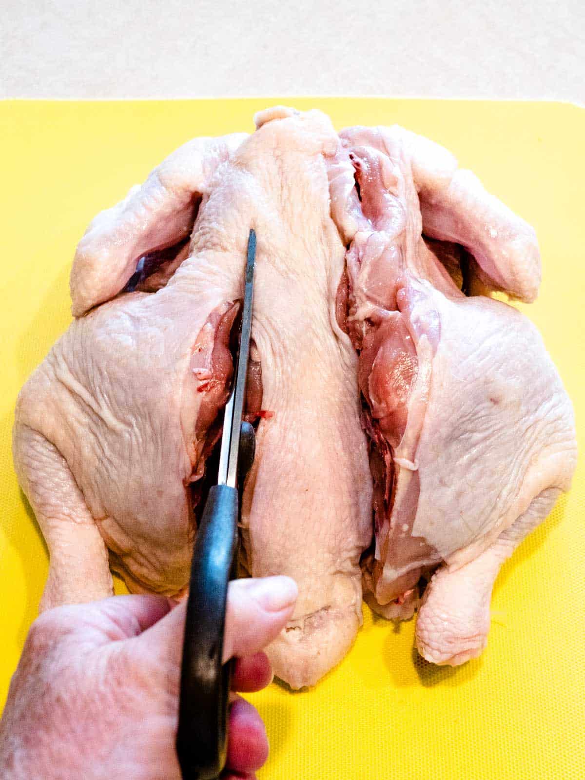 Removing the backbone of the chicken with kitchen shears.
