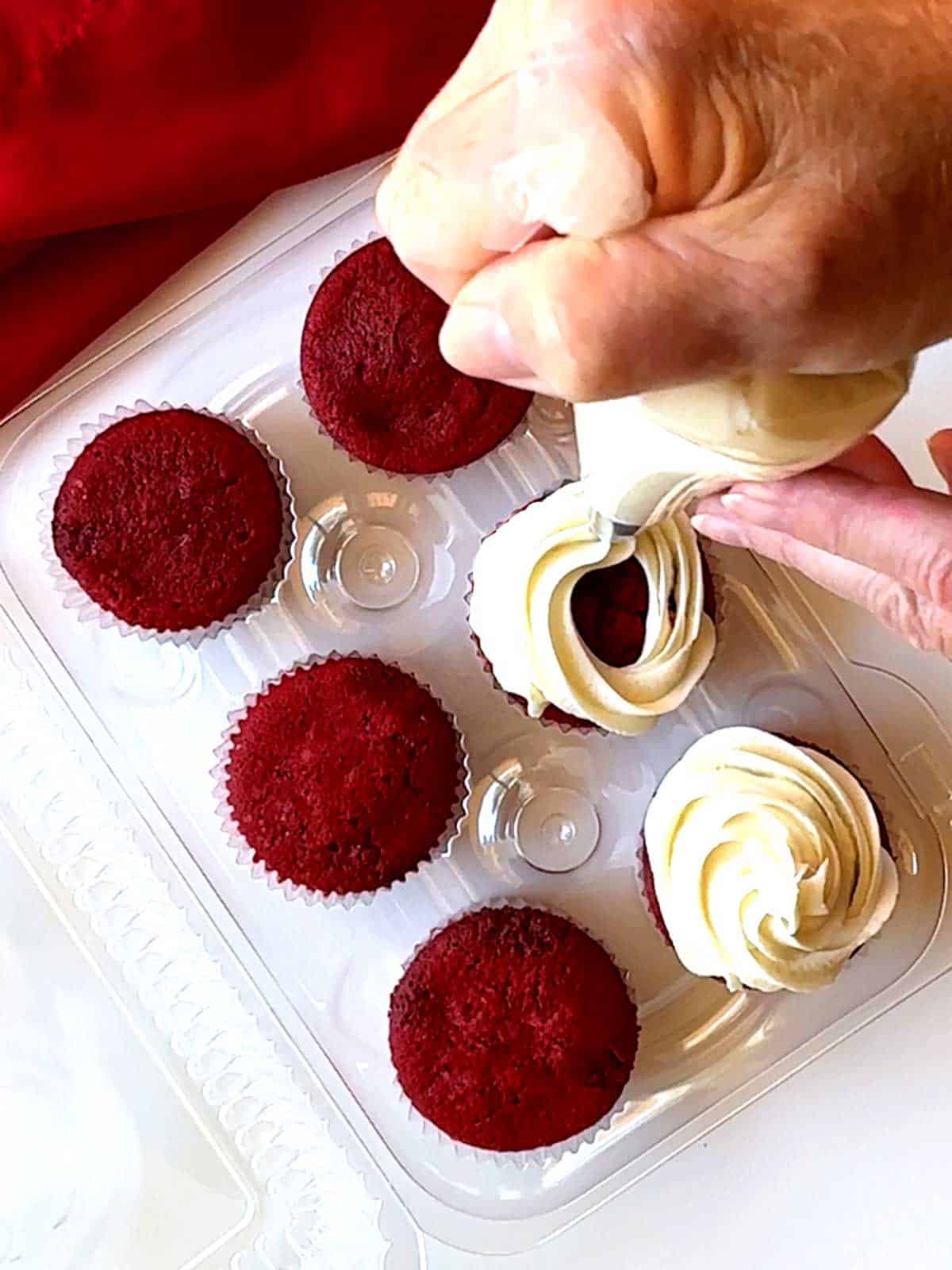 Piping frosting onto red velvet cupcakes
