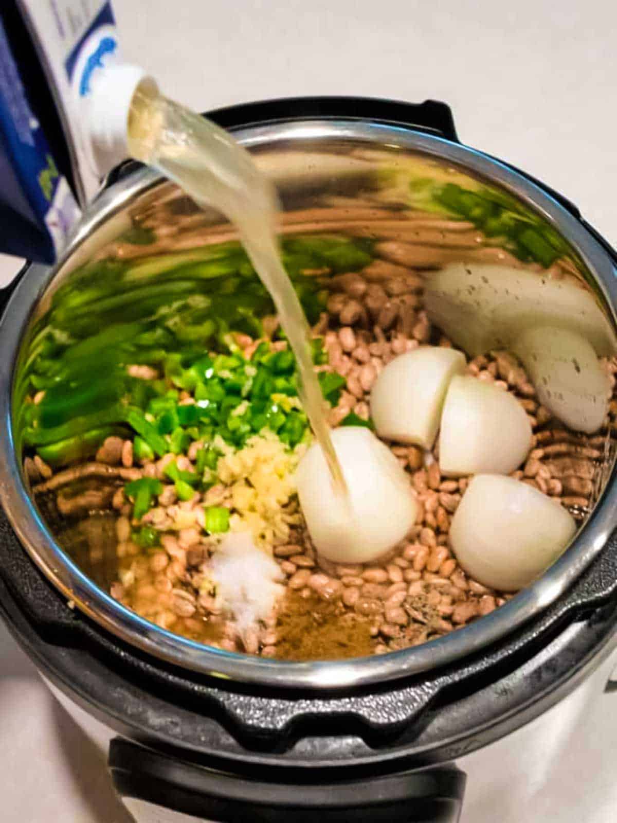 All of the ingredients in the Instant Pot with the chicken broth being added.