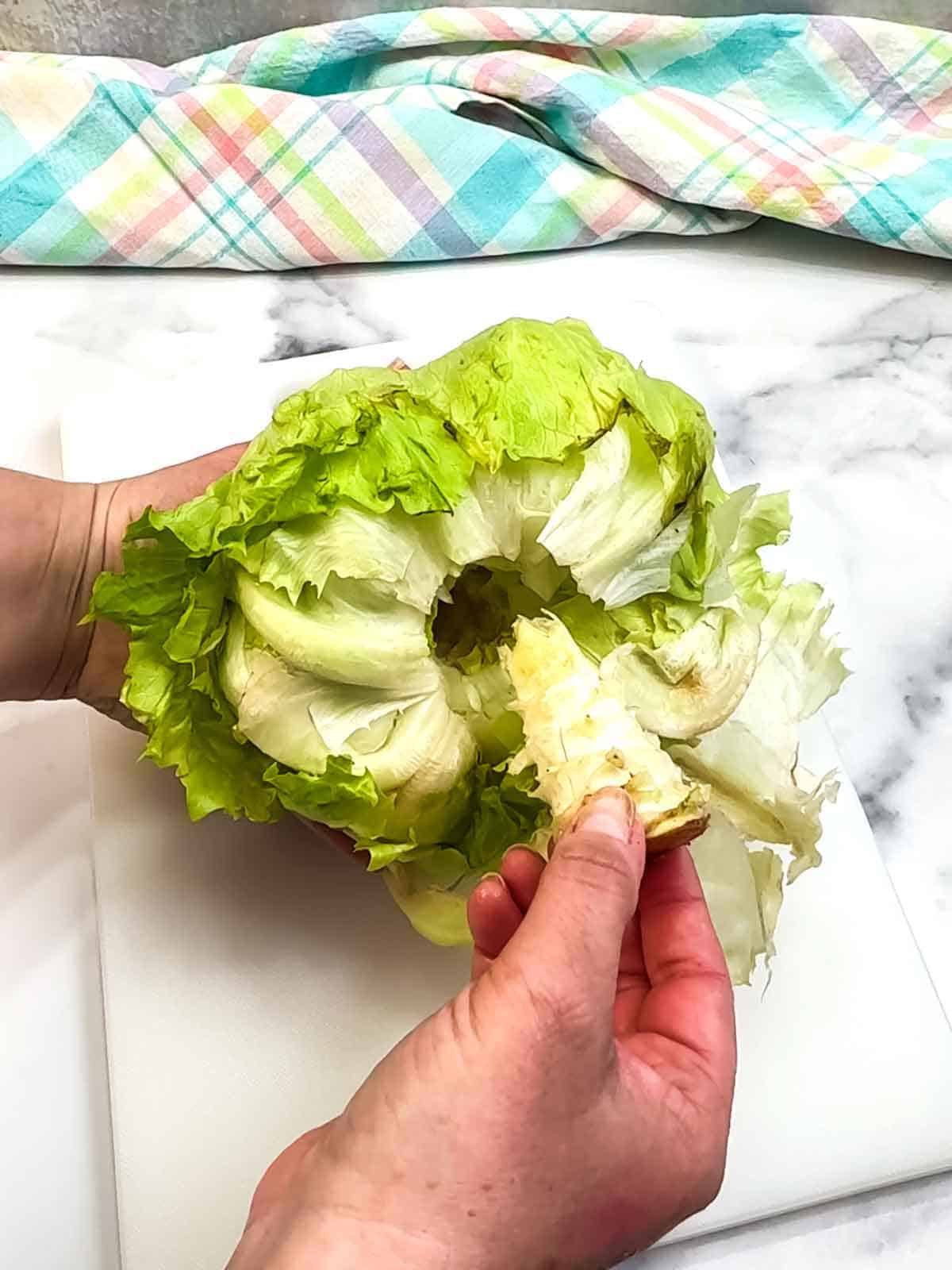 removing the core from the head of lettuce