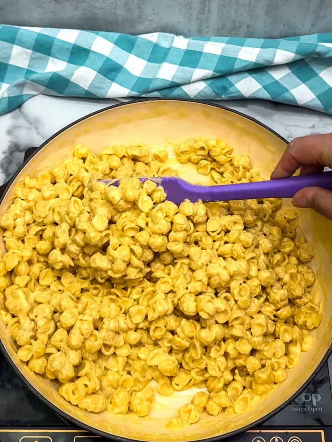 Top Shell Recipe Quick and Easy Stovetop Macaroni Shells & Cheese - Pudge Factor
