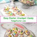 Easy Easter Crockpot Candy.