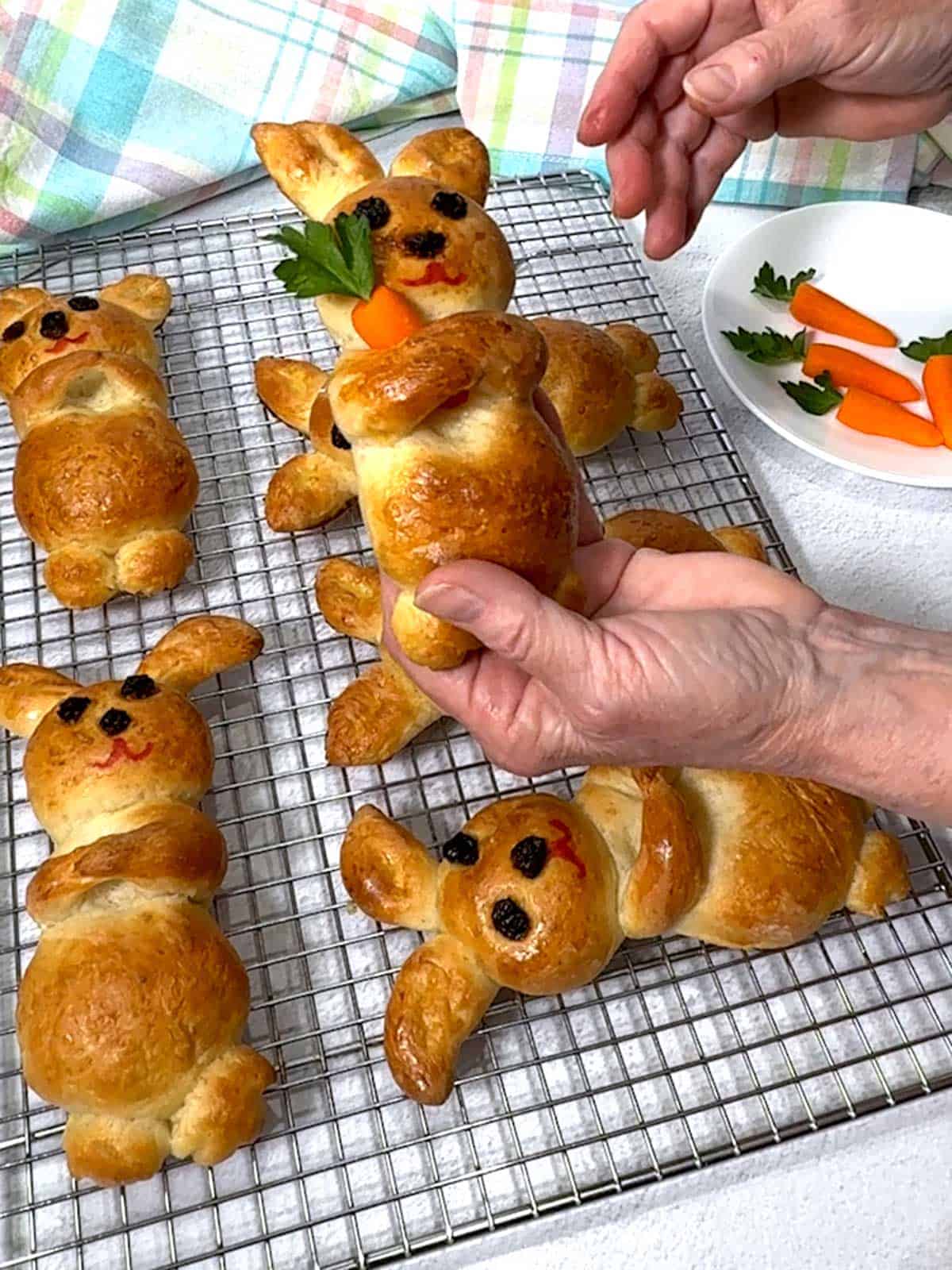 Placing a carrot in the bunny for it to hold.