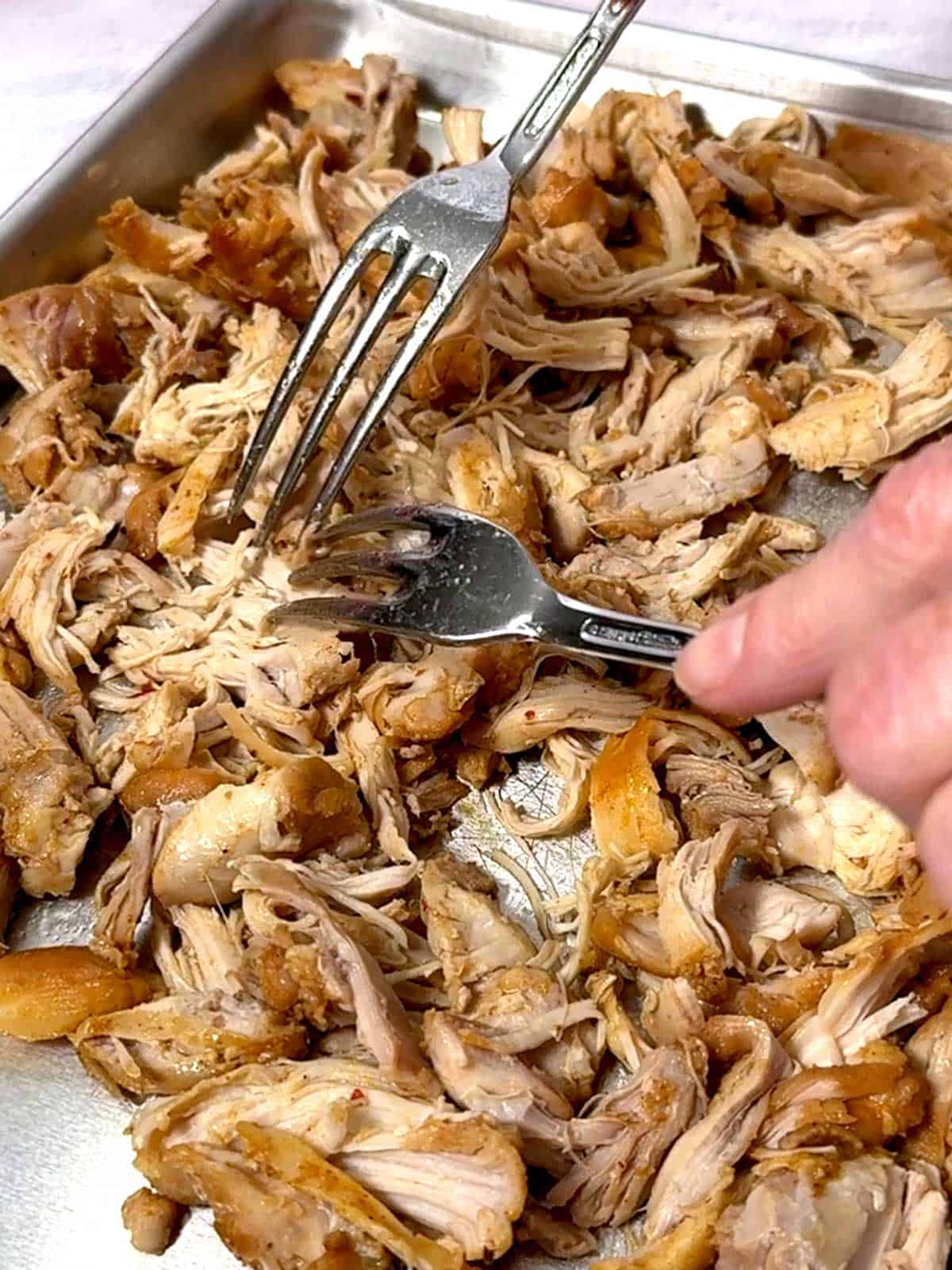 Shredding the chicken with two forks.