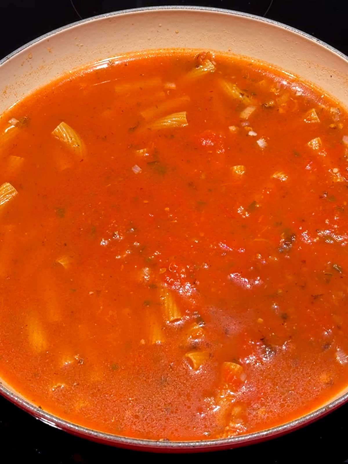 Dry rigatoni submerged in tomato sauce.
