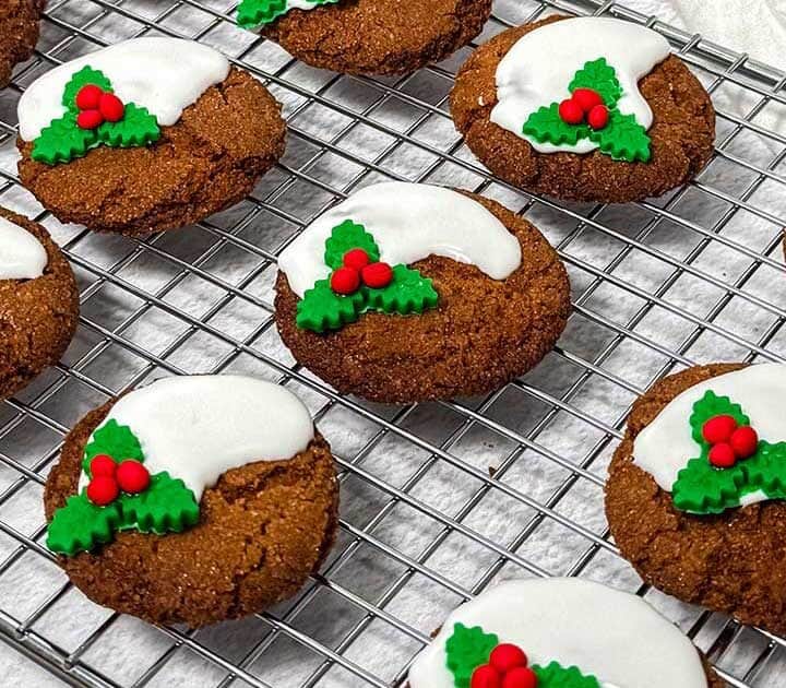 Decorated gingersnaps.