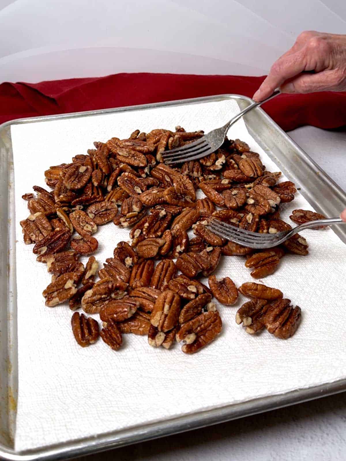 Spreading the pecans on a paper towel-lined baking sheet with two forks.