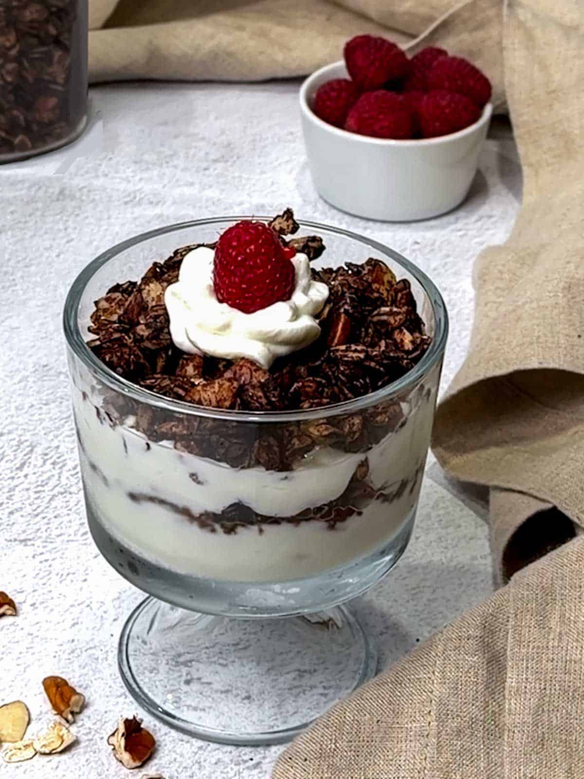 Air fryer chocolate nut granola with yogurt and raspberries.