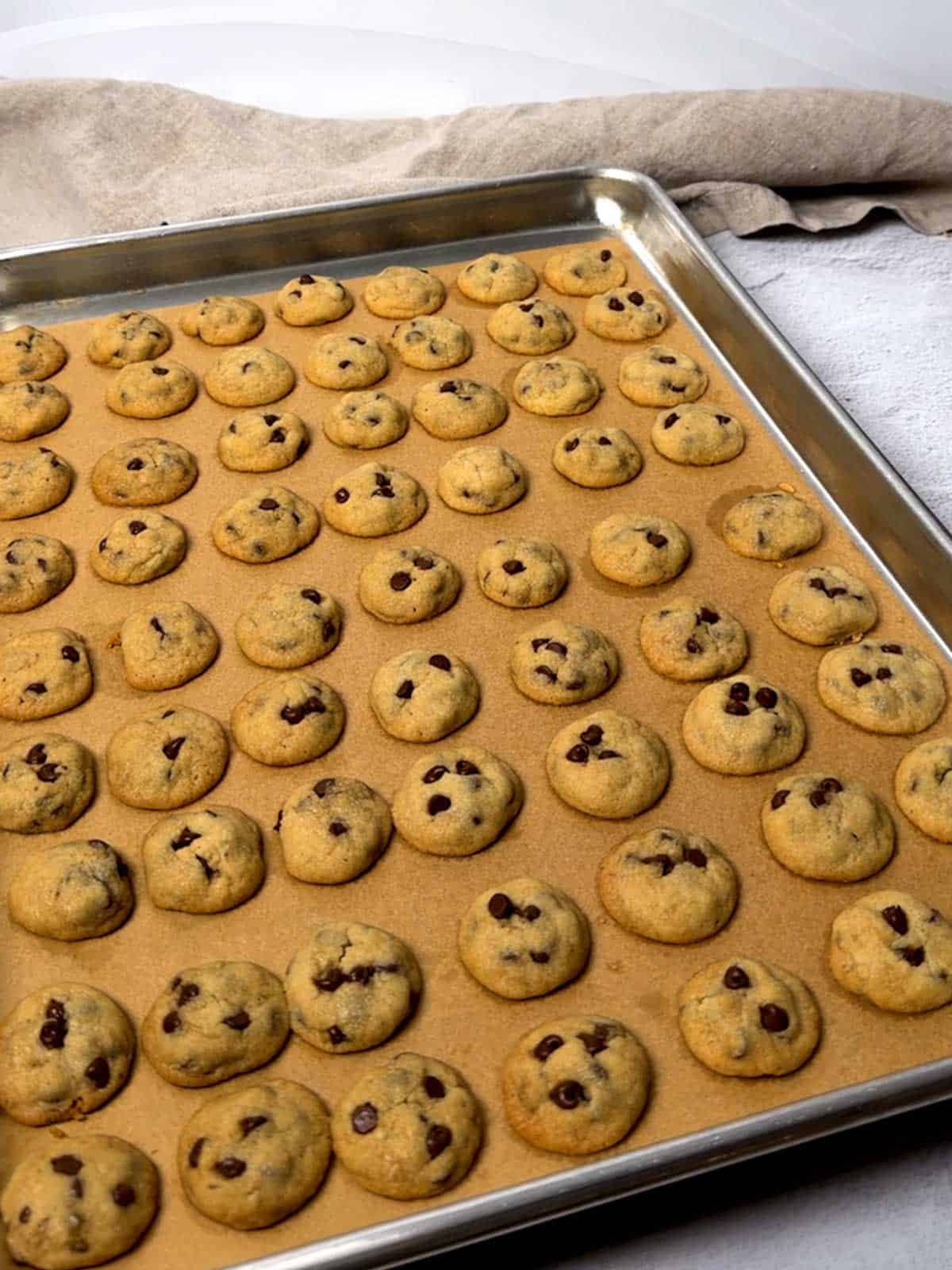 Cookies out of the oven.