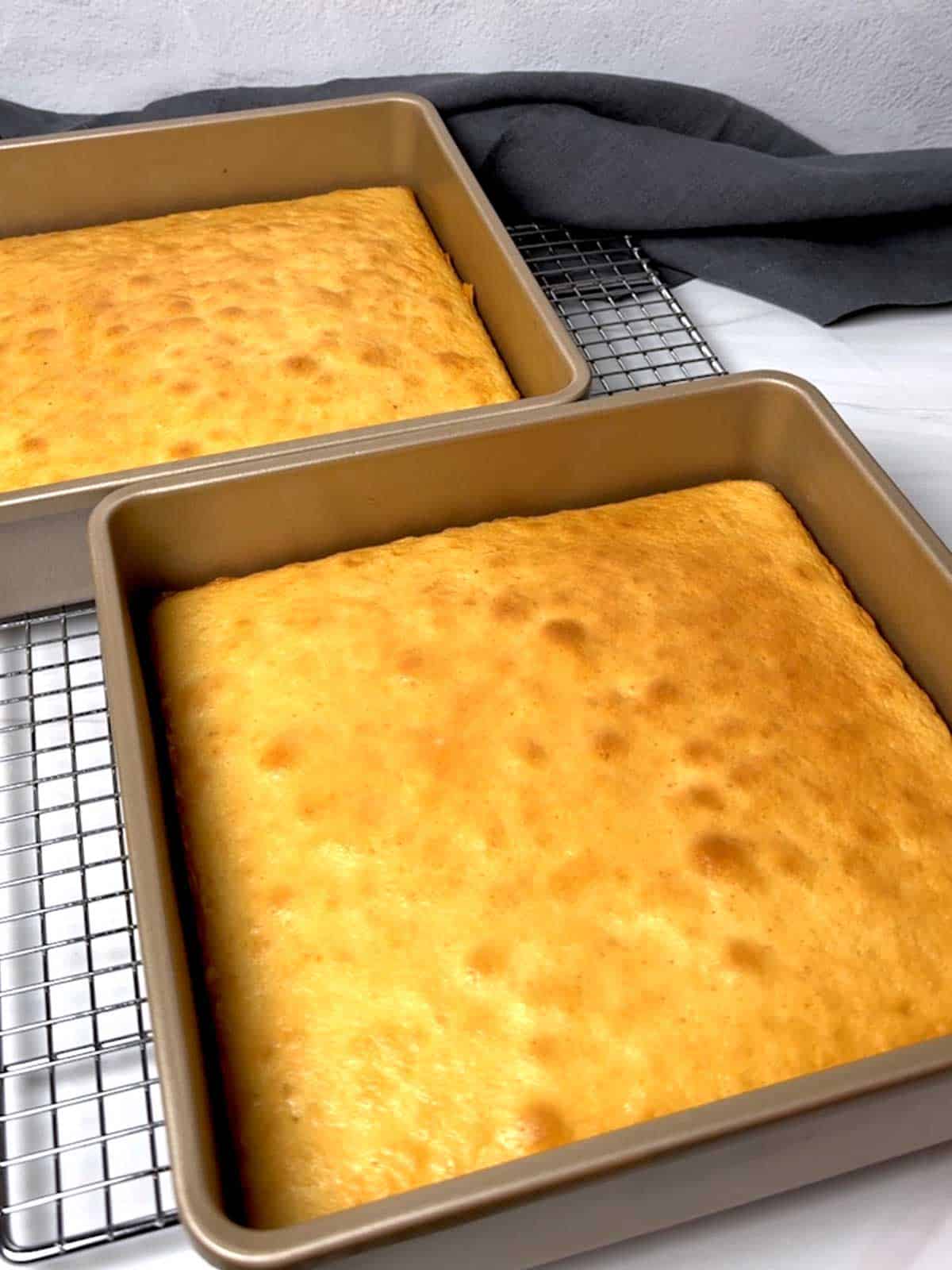 Cake in 9--inch cake pans.