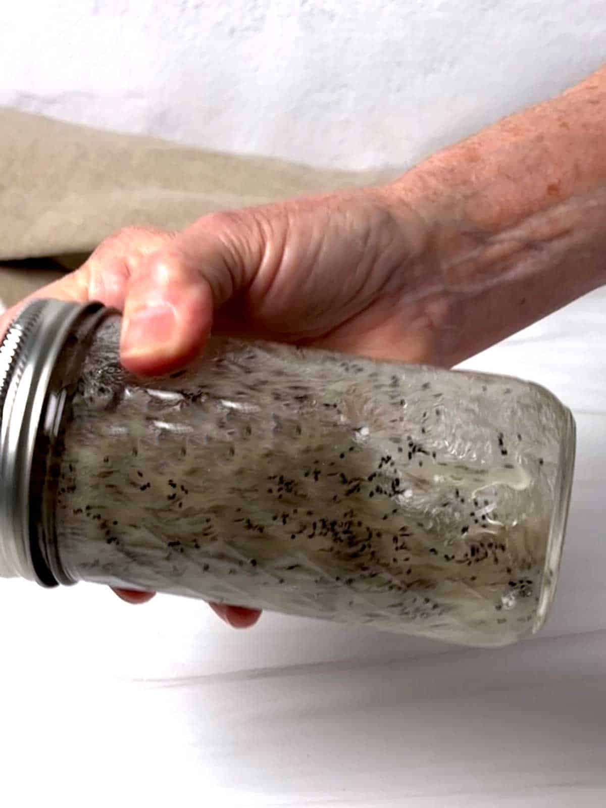 Shaking the poppy seed dressing in a jar.