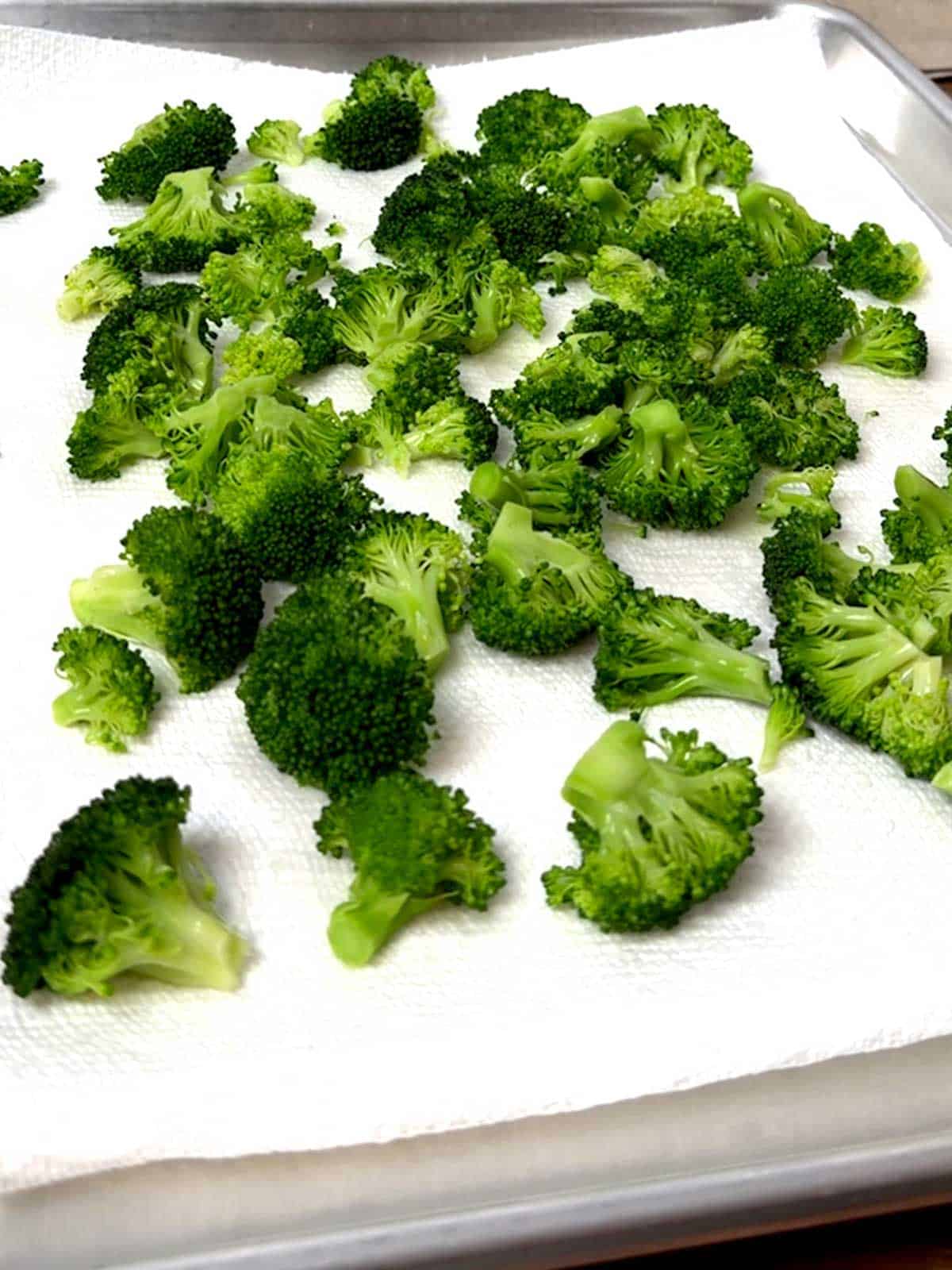 Blanched broccoli drying on paper towels.
