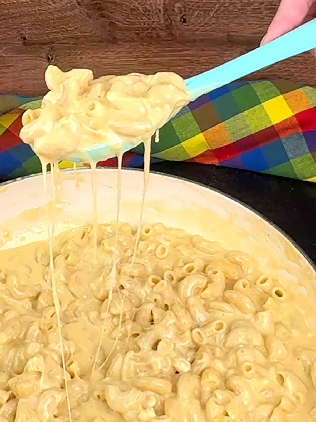 finished Quick and Easy One-Pot Macaroni and Cheese